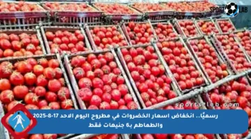 رسميًا.. انخفاض أسعار الخضروات في مطروح اليوم الأحد 17-8-2025 والطماطم بـ6 جنيهات فقط